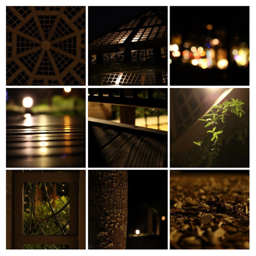 2020 12 31 | a walk in the park