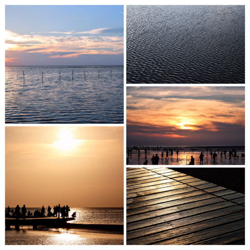 2023 06 25-27 | moments from Gaomei Wetlands