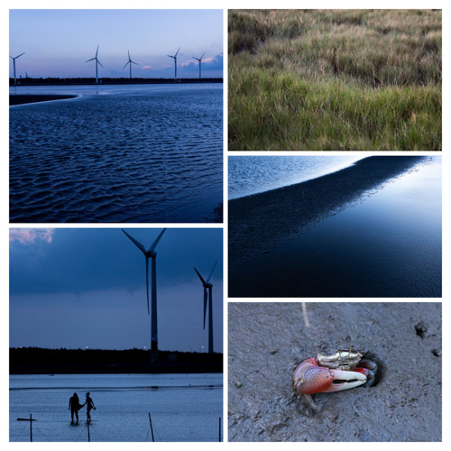 2024 06 15 | moments from Gaomei Wetlands pt. 2