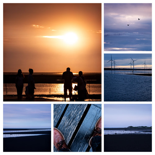 2024 06 18 | moments from Gaomei Wetlands pt. 3