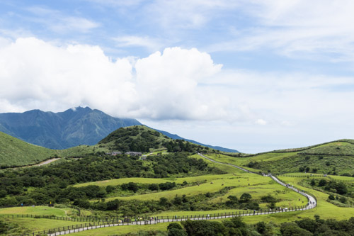 2024 06 27 | Qingtiangang at Yangmingshan