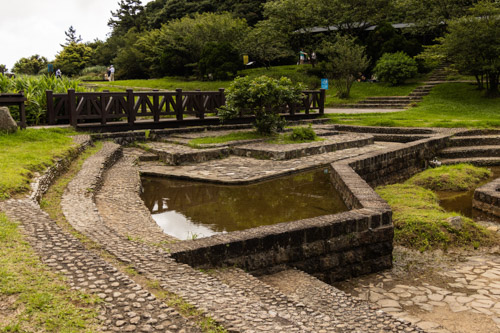 2024 06 27 | Erziping at Yangmingshan