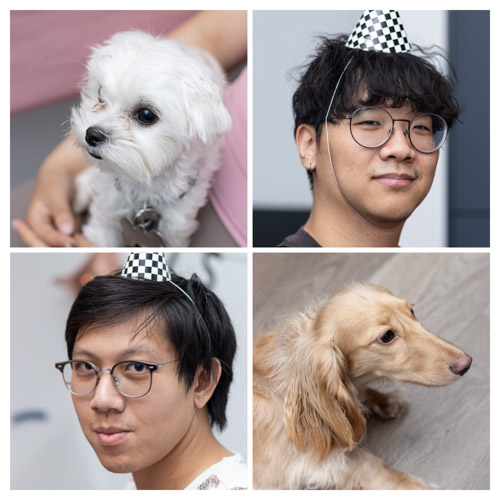 2025 05 31 | puppy's birthday