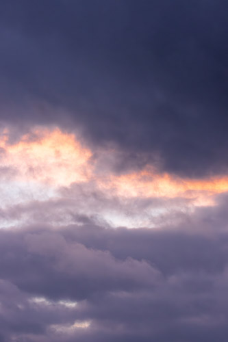 2026 03 03 | lavender streak